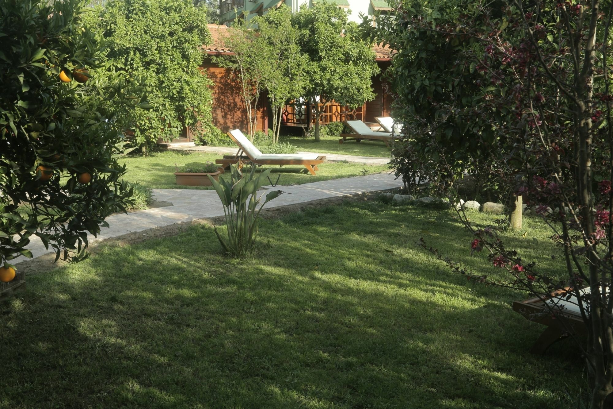 Aida Hotel Çıralı Exterior foto